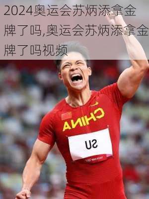 奥运会苏炳添拿金牌了吗,奥运会苏炳添拿金牌了吗视频