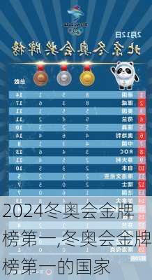冬奥会金牌榜第一,冬奥会金牌榜第一的国家