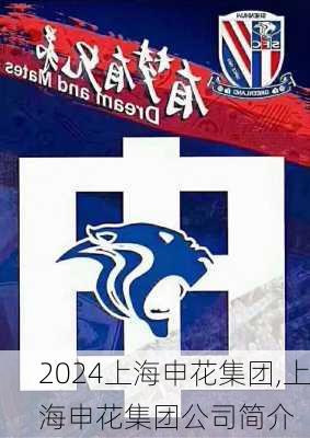 上海申花集团,上海申花集团公司简介