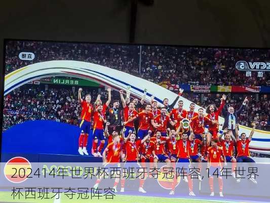 14年世界杯西班牙夺冠阵容,14年世界杯西班牙夺冠阵容