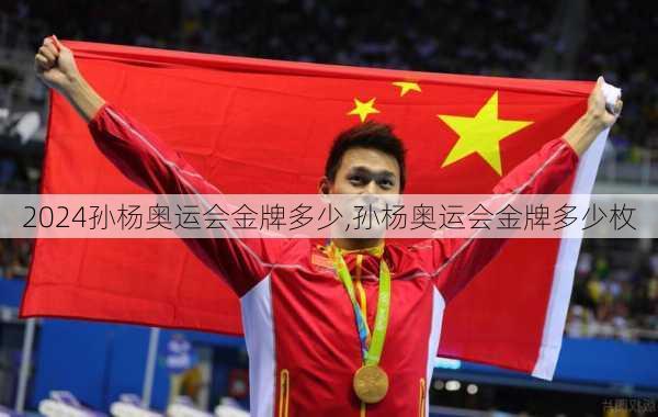 孙杨奥运会金牌多少,孙杨奥运会金牌多少枚