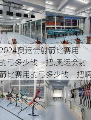 奥运会射箭比赛用的弓多少钱一把,奥运会射箭比赛用的弓多少钱一把啊