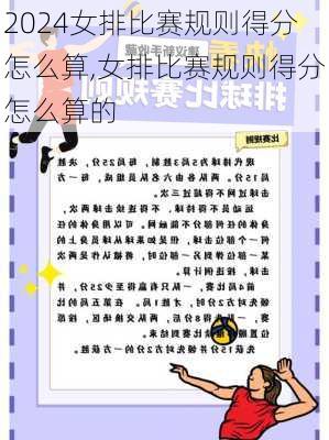 女排比赛规则得分怎么算,女排比赛规则得分怎么算的
