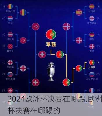 欧洲杯决赛在哪踢,欧洲杯决赛在哪踢的