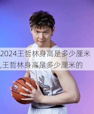 王哲林身高是多少厘米,王哲林身高是多少厘米的