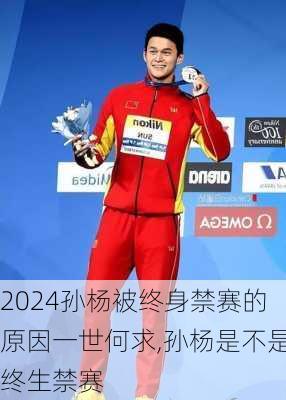 孙杨被终身禁赛的原因一世何求,孙杨是不是终生禁赛