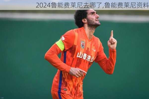 鲁能费莱尼去哪了,鲁能费莱尼资料