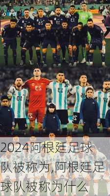 阿根廷足球队被称为,阿根廷足球队被称为什么