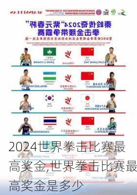 世界拳击比赛最高奖金,世界拳击比赛最高奖金是多少