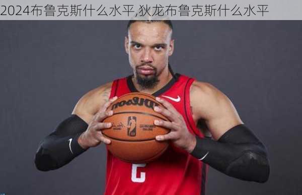 布鲁克斯什么水平,狄龙布鲁克斯什么水平