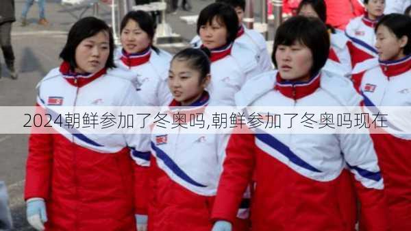 朝鲜参加了冬奥吗,朝鲜参加了冬奥吗现在