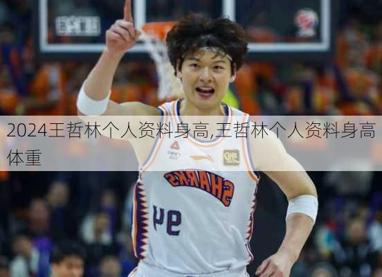 王哲林个人资料身高,王哲林个人资料身高体重