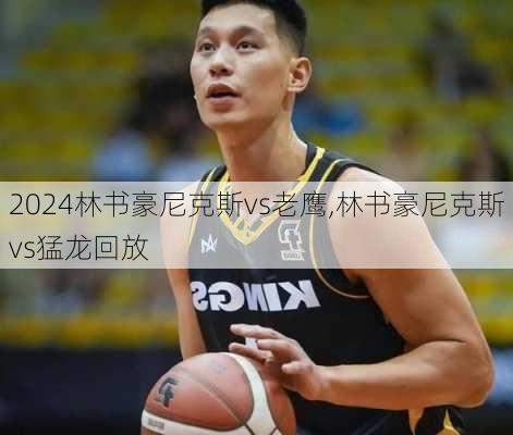 林书豪尼克斯vs老鹰,林书豪尼克斯vs猛龙回放