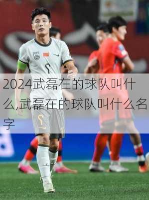 武磊在的球队叫什么,武磊在的球队叫什么名字