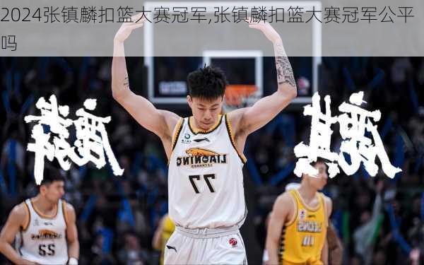 张镇麟扣篮大赛冠军,张镇麟扣篮大赛冠军公平吗