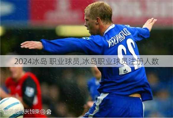 冰岛 职业球员,冰岛职业球员注册人数
