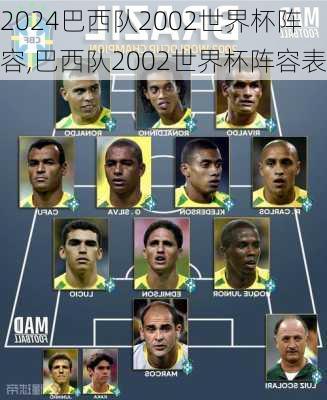 巴西队2002世界杯阵容,巴西队2002世界杯阵容表