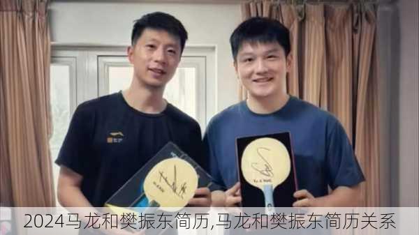 马龙和樊振东简历,马龙和樊振东简历关系