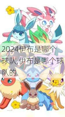伊布是哪个球队,伊布是哪个球队的