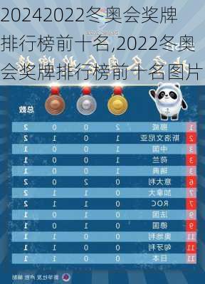 2022冬奥会奖牌排行榜前十名,2022冬奥会奖牌排行榜前十名图片