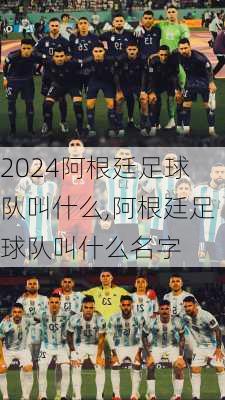 阿根廷足球队叫什么,阿根廷足球队叫什么名字