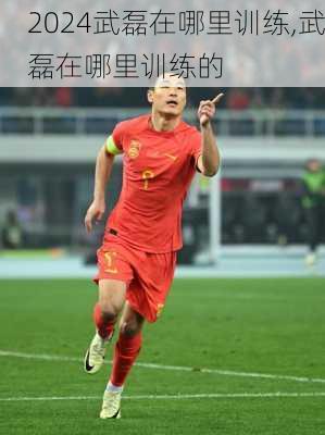 武磊在哪里训练,武磊在哪里训练的