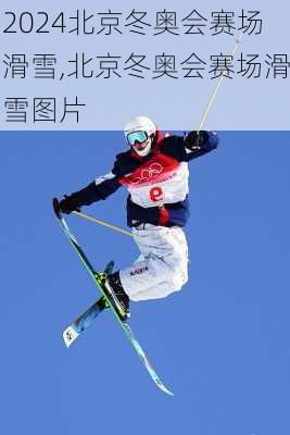 北京冬奥会赛场滑雪,北京冬奥会赛场滑雪图片