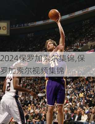保罗加索尔集锦,保罗加索尔视频集锦
