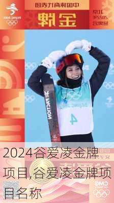 谷爱凌金牌项目,谷爱凌金牌项目名称