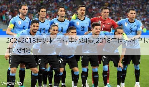 2018世界杯乌拉圭小组赛,2018年世界杯乌拉圭小组赛