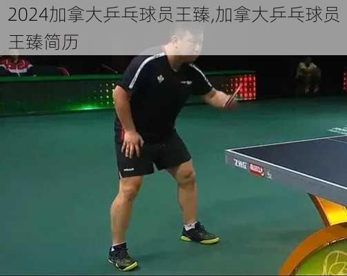 加拿大乒乓球员王臻,加拿大乒乓球员王臻简历