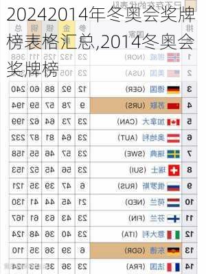 2014年冬奥会奖牌榜表格汇总,2014冬奥会 奖牌榜