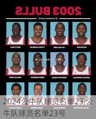 公牛队球员名单23,公牛队球员名单23号