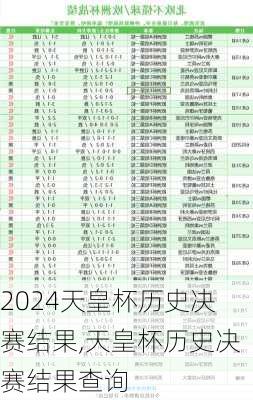 天皇杯历史决赛结果,天皇杯历史决赛结果查询