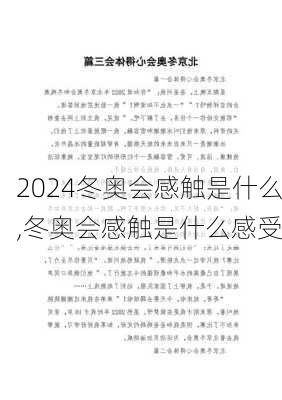 冬奥会感触是什么,冬奥会感触是什么感受