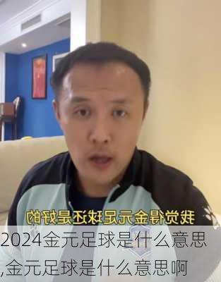 金元足球是什么意思,金元足球是什么意思啊