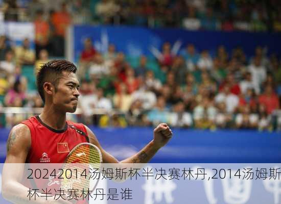 2014汤姆斯杯半决赛林丹,2014汤姆斯杯半决赛林丹是谁