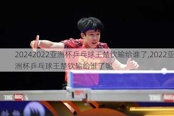 2022亚洲杯乒乓球王楚钦输给谁了,2022亚洲杯乒乓球王楚钦输给谁了呢