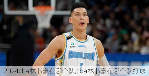 cba林书豪在哪个队,cba林书豪在哪个队打球