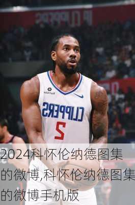 科怀伦纳德图集的微博,科怀伦纳德图集的微博手机版