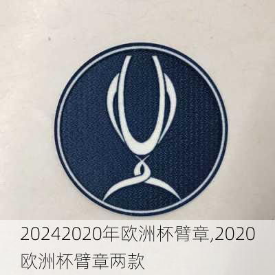 2020年欧洲杯臂章,2020欧洲杯臂章两款
