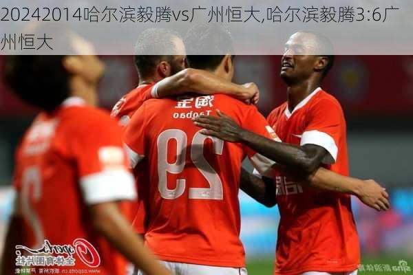 2014哈尔滨毅腾vs广州恒大,哈尔滨毅腾3:6广州恒大