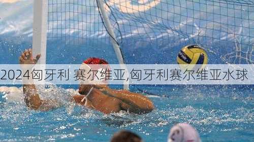 匈牙利 赛尔维亚,匈牙利赛尔维亚水球