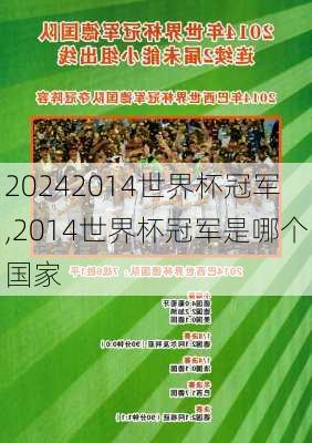 2014世界杯冠军,2014世界杯冠军是哪个国家