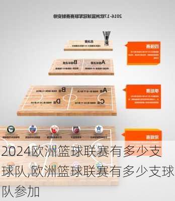 欧洲篮球联赛有多少支球队,欧洲篮球联赛有多少支球队参加