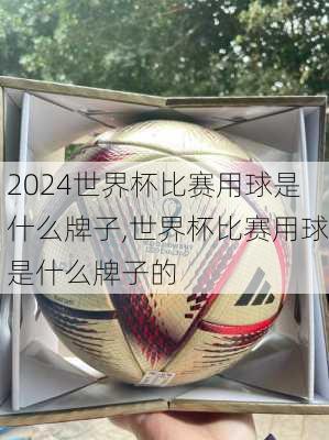 世界杯比赛用球是什么牌子,世界杯比赛用球是什么牌子的