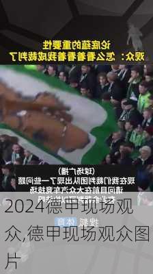 德甲现场观众,德甲现场观众图片