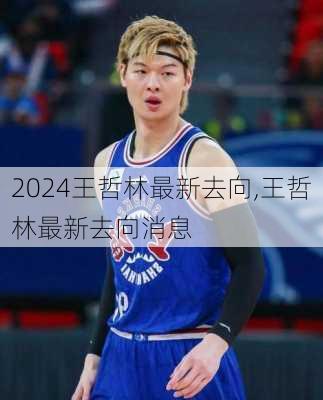 王哲林最新去向,王哲林最新去向消息