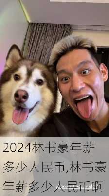 林书豪年薪多少人民币,林书豪年薪多少人民币啊