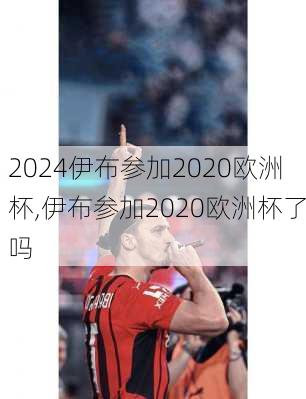 伊布参加2020欧洲杯,伊布参加2020欧洲杯了吗